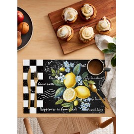 Placemats Farmhouse Lemon on Black White Table Mats Set of 4,Washable Heat Tolerant Summer Fruit Plaid Placemats for Indoor Kitchen Dining, Outdoor Party Dinner,13x19IN