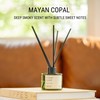 Craft & Kin Reed Diffuser Set Mayan Copal, Reed Diffusers