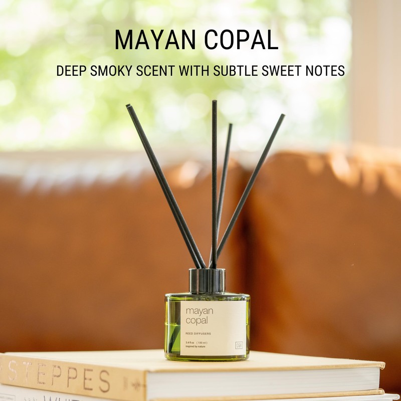 Craft & Kin Reed Diffuser Set Mayan Copal, Reed Diffusers