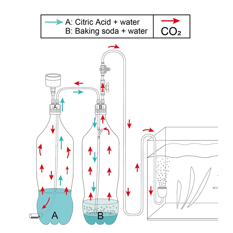 Clscea G200 Aquarium DIY CO2 Generator System Kit