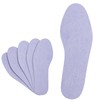 Amelia [Made in Japan/Disposable] Echizen Washi Insoles, Deodorizing, Set of