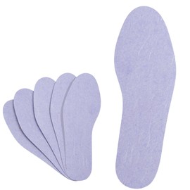 Amelia [Made in Japan/Disposable] Echizen Washi Insoles, Deodorizing, Set of 5 Pairs