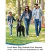 Dog Bungee Leash No Pull, Heavy Duty Dogs Bungee Lead