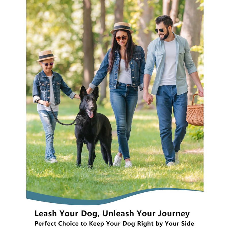 Dog Bungee Leash No Pull, Heavy Duty Dogs Bungee Lead