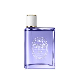 Sttes Perfume Series–eau de Parfum 100ml (3.4 fl oz):_509