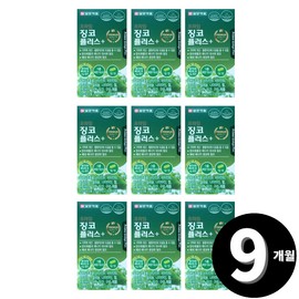 Living Factory H cooperative brand Ginkgo Leaf Extract Ginkgo Total 9 months supply / 은행잎 추출물 징코 총 9개월분
