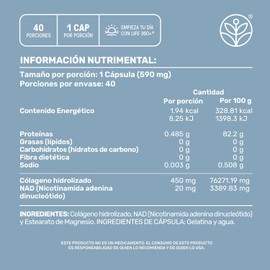 LIFE 360+ NAD+ Collagen | 40 Cápsulas | Colágeno Hidrolizado, NAD (Nicotinamida Adenina Dinucleótido) | Suplemento Alimenticio | 40 Porciones por Envase