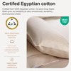 Threadmill Egyptian Cotton Queen Sheet Set | 100% Certified Egyptian