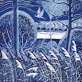 Museums & Galleries - Set of 5 Christmas Cards - Iced Over by Annie Soudain (16.3 x 16.3 cm)