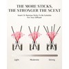 M&SENSE Fresh Linen Reed Diffuser Set with 7 Sticks |