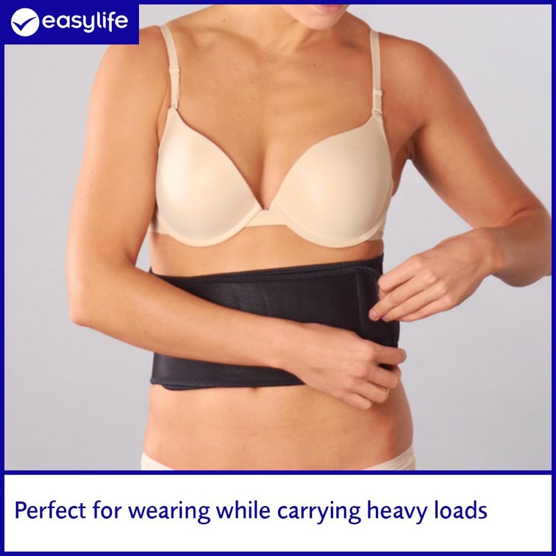 easylife lifestyle solutions Titanium Back Support | Good Posture and