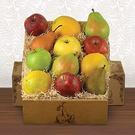 Fruitful Feast Basket