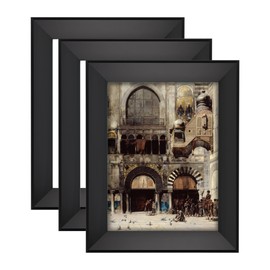 Expositions Open-Back Picture Frames for Paintings, Photos & Prints - with Black, Set of 3 16x20" - Gallery Wall Frame - Eco-Friendly Renewal Core - Made in USA