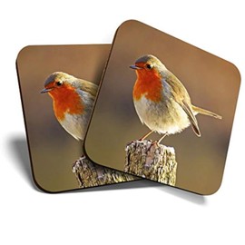 Great Coasters (Set of 2) Square/Glossy Quality Coasters/Tabletop Protection for Any Table Type - Robin Redbreast Bird Animals Birds #8701