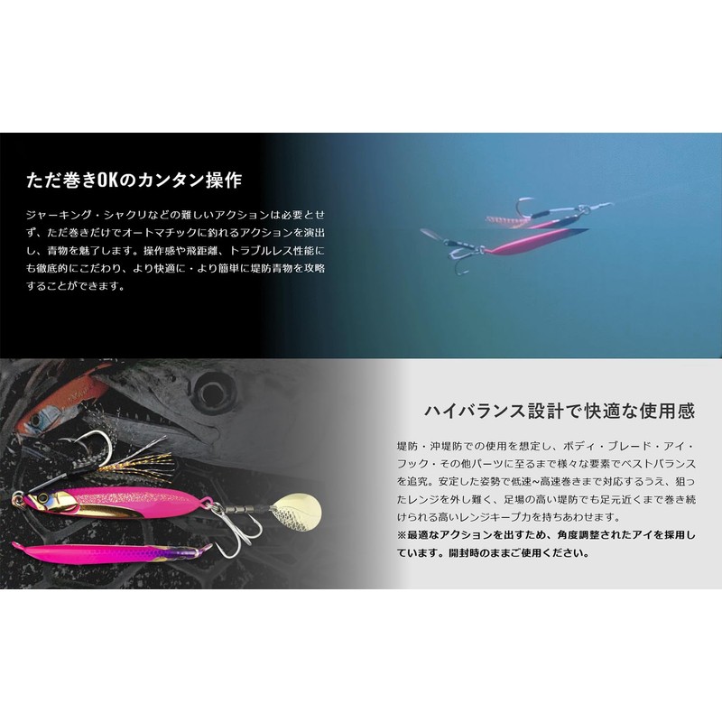 Jackall (ジャッカル) Bigbacker E-Blade (BIGBACKER E-BLADE) 30g Kanai Ruby UV
