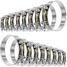 Tnisesm 16Pcs 8 Sizes T-Bolt Hose Clamps, 304 Stainless Steel Heavy Duty Hose Clamp Assortment Set Working Range 28-91mm for 3/4"-3inch Hose ID, Radiator Turbo Intake Soft Hose Intercooler Clamps