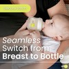 Avima 10 oz Anti Colic Baby Bottle Set - Medium