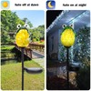 Afirst Solar Frog Garden Stake Lights Hand Blown Glass Decorative