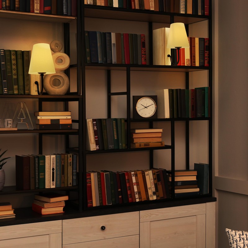 AELS Wooden Bookshelf Lamp with Bulb, Cordless Touch Dimmable Table
