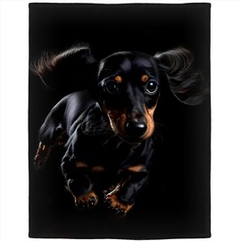 Rstick Dachshund Blanket 60"x80" Black Dog Fleece Blanket Soft Fuzzy Plush Throw Blanket Gifts for Men Women Girls Boys