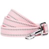 Blueberry Pet Essentials Pastel Color Reflective Matching Dog Collar and