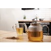 Premier Housewares High Borosilicate Teapot, 1000 ml, with Strainer, 14