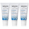 Weleda Natural Salt Toothpaste. 2.5 Fluid Ounce (Pack of 3)