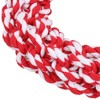 AB Tools Dog Knottie Ring Pig in Blanket Plush Rope