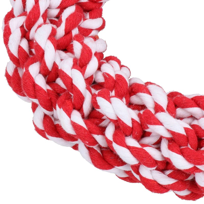 AB Tools Dog Knottie Ring Pig in Blanket Plush Rope