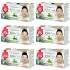 Tea Pot - White Tea - Natural White Tea -