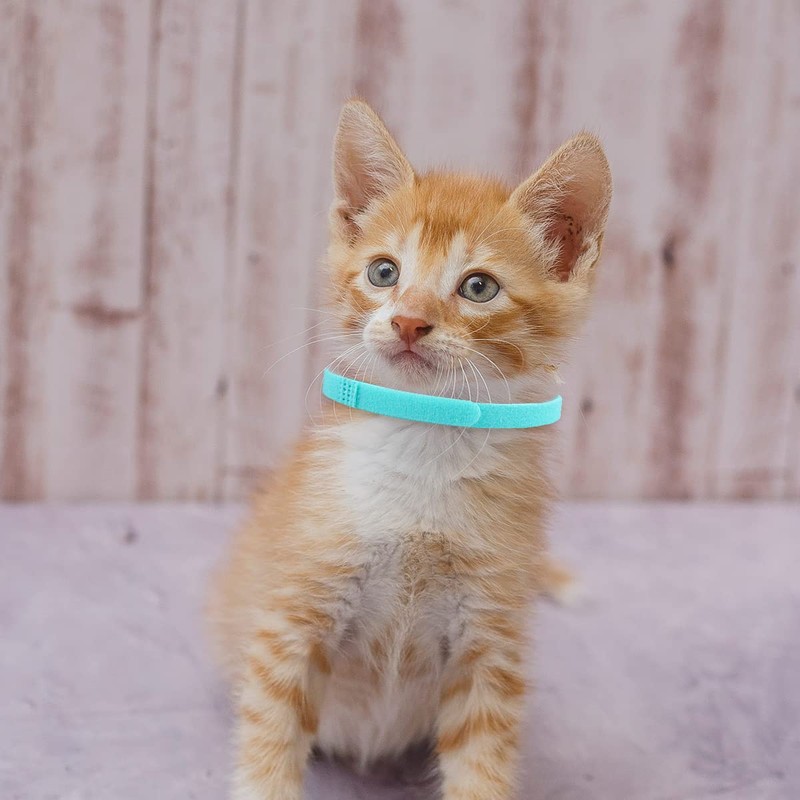 Lotsdonxia 15 Colors Adjustable Soft ID Bands for Newborn Puppies