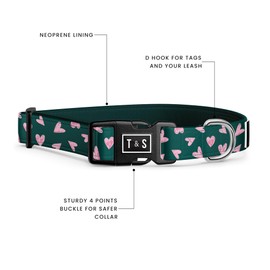 Tella & Stella - Dog Collar for Small Dog - Adjustable Collar - 9 in to 12.5 in Wide-Soft on Dog’s Fur - Lined with Neoprene for Comfort - Chrome D Ring for Hooking The Leash (Beatrice, Large)