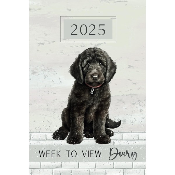 Week To View Diary 2025: Black Labradoodle, Labrador Retriever Poodle