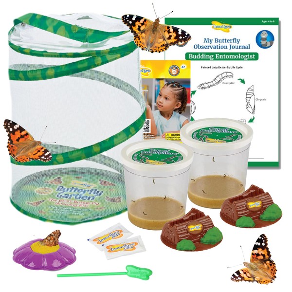 Insect Lore Butterfly Garden | 10 Live Baby Caterpillars |