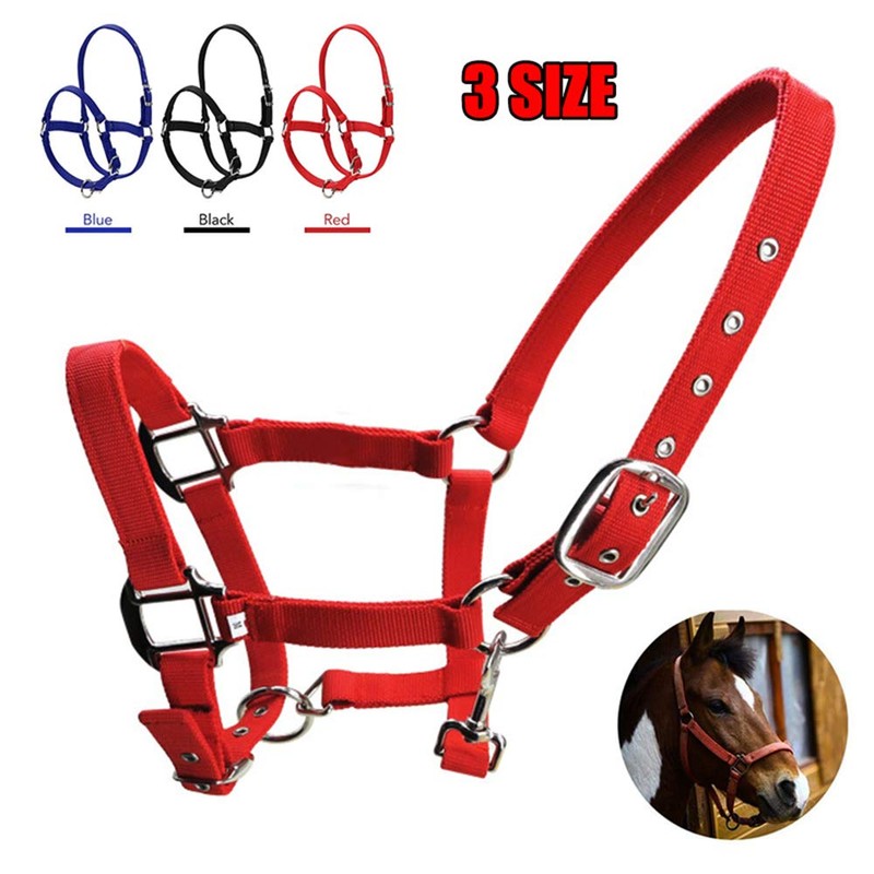 tooloflife Foal Headcollar Pony Donkey Padded Nylon Medium Blue