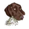 Ivybee Decals German Shorthaired Pointer Color Printed Vinyl Decal 2