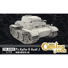 Fly Model 1/72 II # # # # Panzer J Type VK1601 