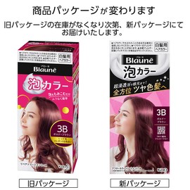 Foam Color 3B Bordeaux Brown (Quasi-Drug)