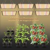 BAVIHOR Grow Light, (2-Pack) 200W LED Grow Lights for Indoor