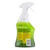 Lime-A-Way Lime Calcium Rust Cleaner, 22 oz (Pack of 2)