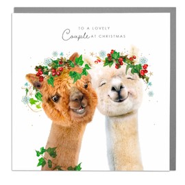 To a Lovely Couple at Christmas - Blank Christmas Card and Envelope - Alpacas