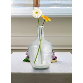 Serene Spaces Living Clear/Brown Tall Vase, Bottle Glass Vase, Elegant Home Decor for Fresh or Dried Flowers, Perfect for Living Rooms, Dining Areas, and Centerpieces (Extra Small, Set of 6 - Clear)