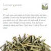 Lemon Grass Organic Herbal Tea - Lemony Sweetness - Lemongrass