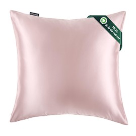 22 Momme Silk Pillowcase for Hair and Skin: 100% Pure Double-Sided Pillowcase with Hidden Zip - Silk Pillowcase - Mulberry Silk Pillowcase (Pink, 65 x 65 cm)