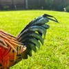 Darthome Metal Rooster Garden Ornament 23x26x8cm Small Farmyard Bird Hand