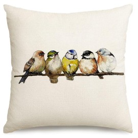 RABUSOFA Spring Summer Pillows Decorative Throw Pillows 20x20,Large Outdoor Bird Pillow Covers,Single Watercolor Hand-Painted Oil Painting Rustic Birds Square Pillow Cases for Couch Sofa