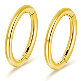 PIERCINGFUN Women Men G23 Titanium Hinged Piercing Nose Rings Hoop 2Pcs 16G 10mm for Nostril Septum Cartilage Helix Daith Tragus Rook Conch Lip Ear Lobe Belly Eyebrow Piercings, 1.2*10mm, Titanium, no