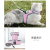 Cat Harness, No Shedding Double Lock, Easy, Cat Leash Harness,