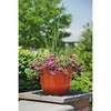 Garden Elements Indoor/Outdoor Glazed Brushed Happy Plastic Planter, Large, Bright