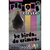 9th Level Games: Pigeon's Eleven - RPG Book, Be Birds